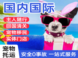 大同航空快运国际宠物托运 【国